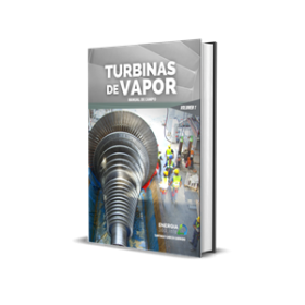 Turbinas de vapor: manual de campo (digital)